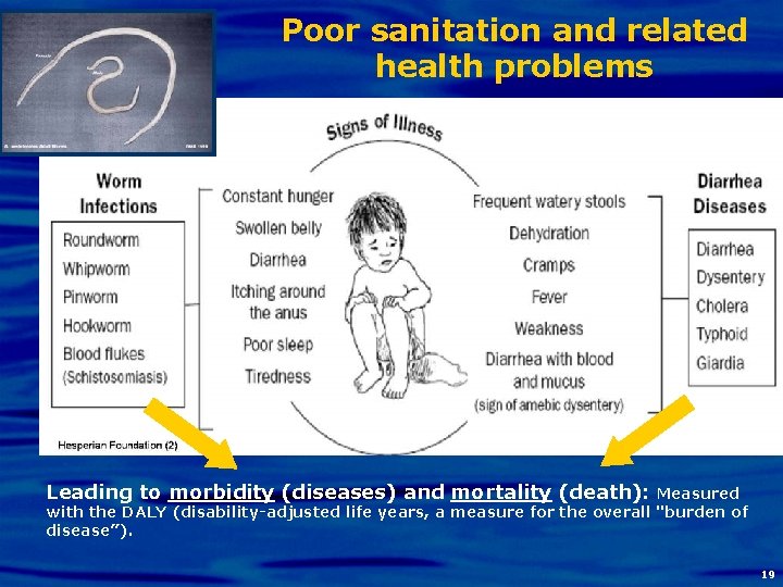 Poor sanitation and related health problems Leading to morbidity (diseases) and mortality (death): Measured