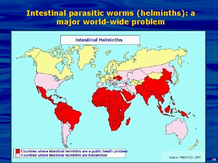 Intestinal parasitic worms (helminths): a major world-wide problem 20 