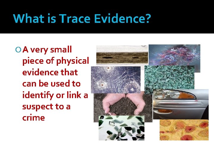 What is Trace Evidence? A very small piece of physical evidence that can be