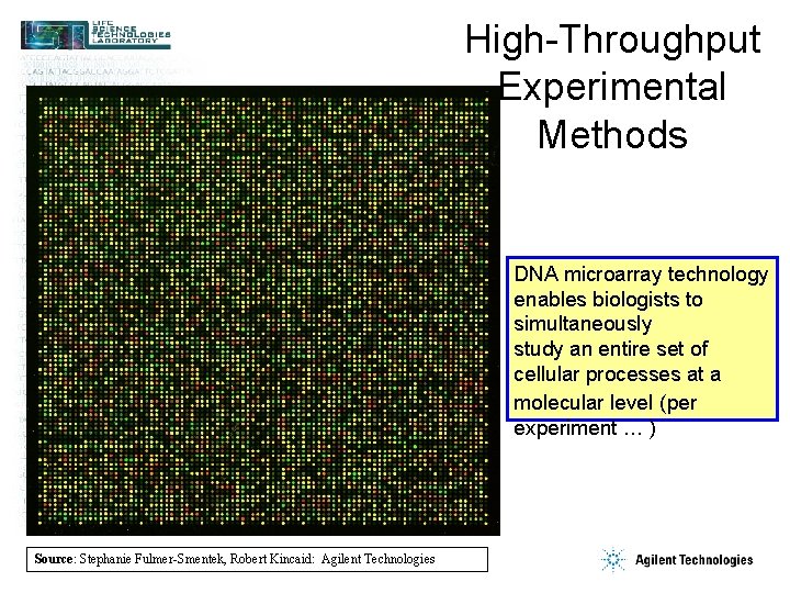 High-Throughput Experimental Methods DNA microarray technology enables biologists to simultaneously study an entire set