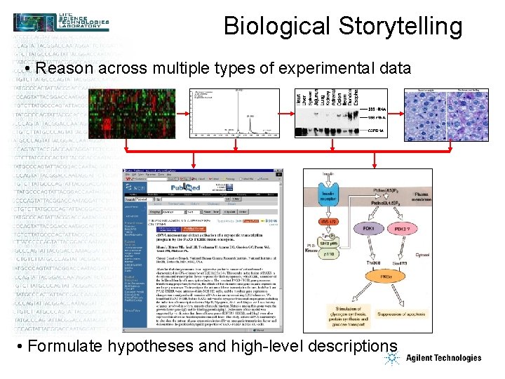 Biological Storytelling • Reason across multiple types of experimental data • Formulate hypotheses and