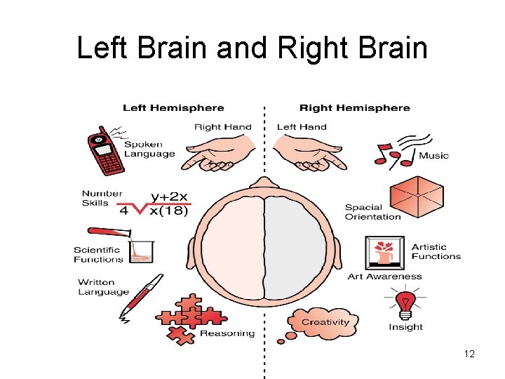 Left Brain and Right Brain 12 