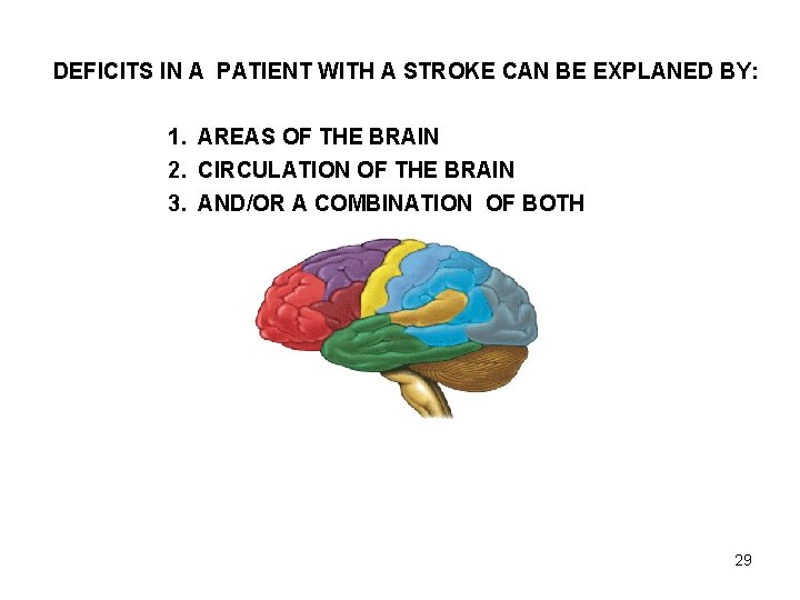 DEFICITS IN A PATIENT WITH A STROKE CAN BE EXPLANED BY: 1. AREAS OF