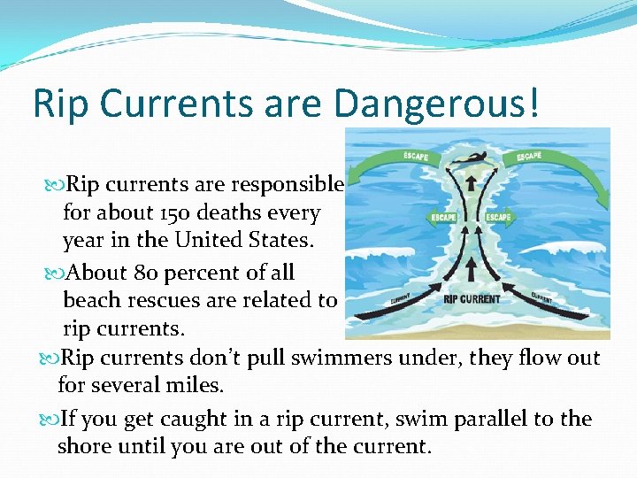 Rip Currents are Dangerous! Rip currents are responsible for about 150 deaths every year