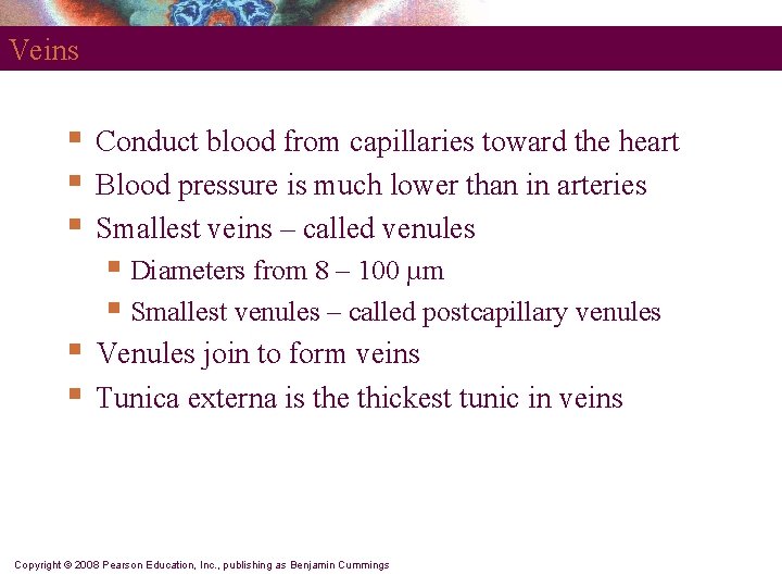 Veins § § § Conduct blood from capillaries toward the heart Blood pressure is