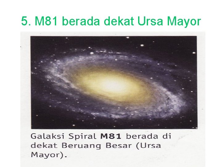 5. M 81 berada dekat Ursa Mayor 