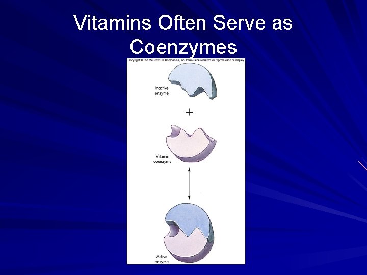 Vitamins Often Serve as Coenzymes 