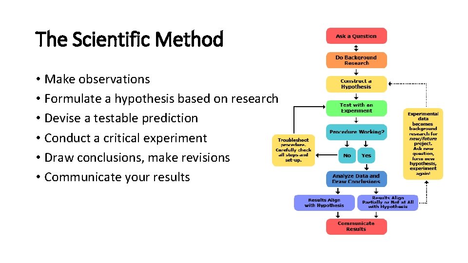 The Scientific Method • Make observations • Formulate a hypothesis based on research •