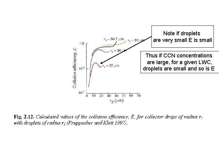 Note if droplets are very small E is small Thus if CCN concentrations are