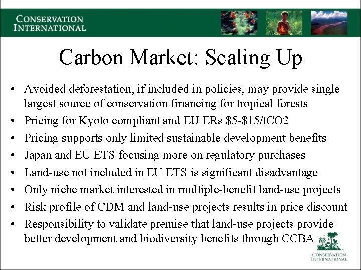 Carbon Market: Scaling Up • Avoided deforestation, if included in policies, may provide single