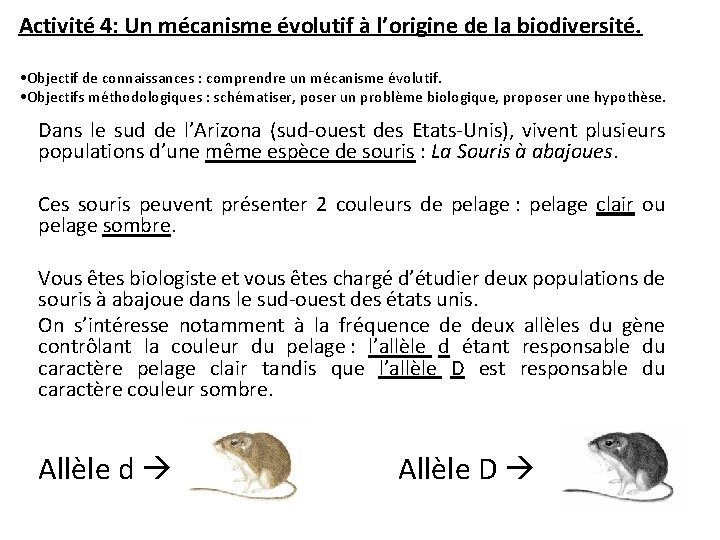 Activité 4: Un mécanisme évolutif à l’origine de la biodiversité. • Objectif de connaissances
