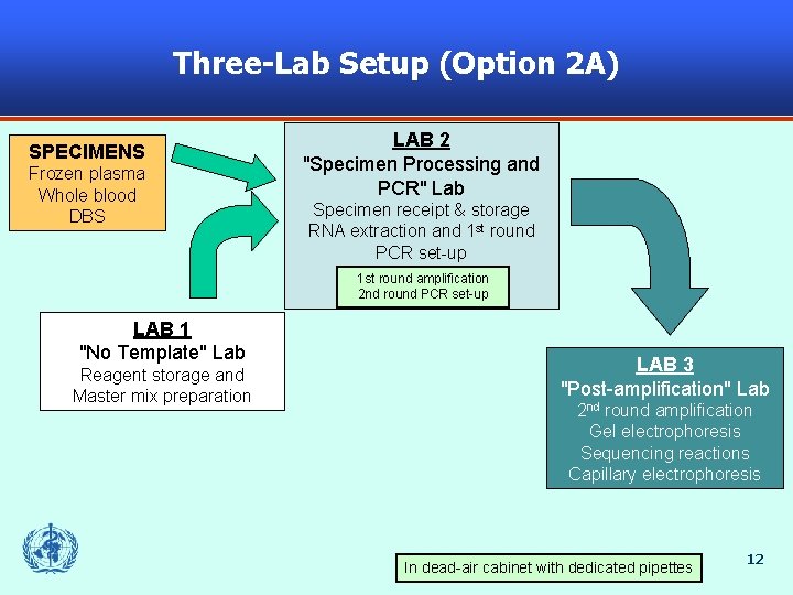 Three-Lab Setup (Option 2 A) SPECIMENS Frozen plasma Whole blood DBS LAB 2 "Specimen
