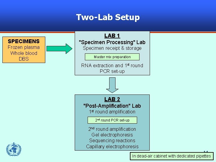 Two-Lab Setup SPECIMENS Frozen plasma Whole blood DBS LAB 1 "Specimen Processing" Lab Specimen