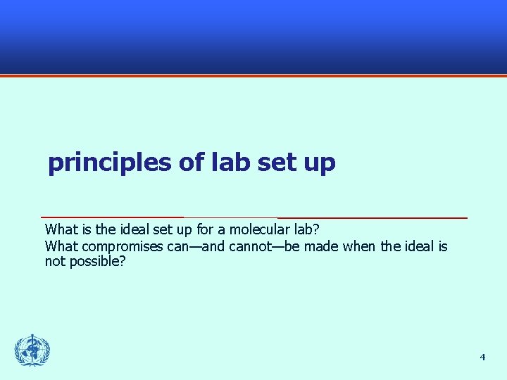 principles of lab set up What is the ideal set up for a molecular