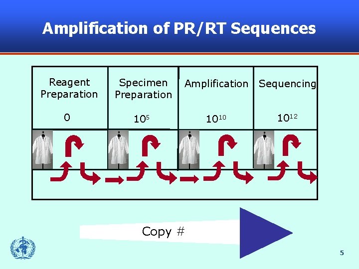 Amplification of PR/RT Sequences Reagent Preparation Specimen Preparation Amplification Sequencing 0 105 1010 1012