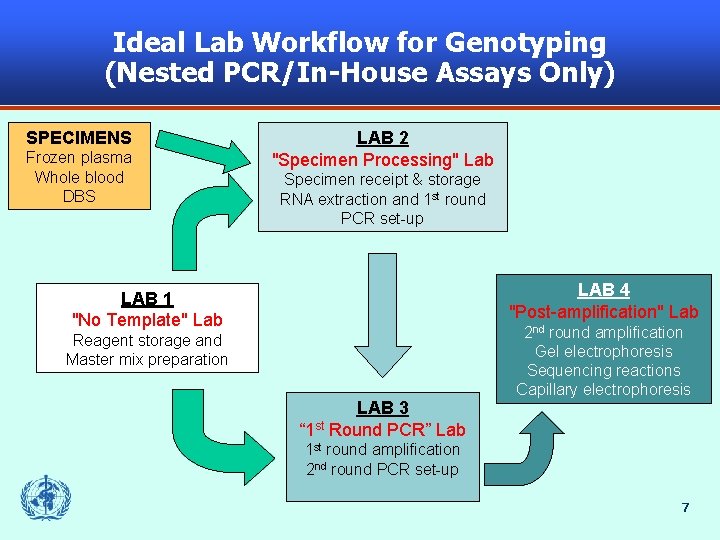 Ideal Lab Workflow for Genotyping (Nested PCR/In-House Assays Only) SPECIMENS Frozen plasma Whole blood