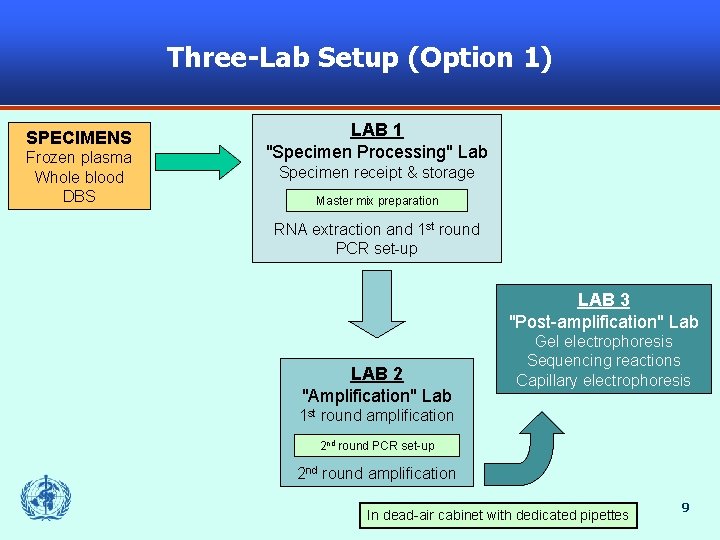 Three-Lab Setup (Option 1) SPECIMENS Frozen plasma Whole blood DBS LAB 1 "Specimen Processing"