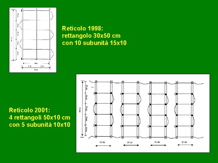 Reticolo 1998: rettangolo 30 x 50 cm con 10 subunità 15 x 10 Reticolo