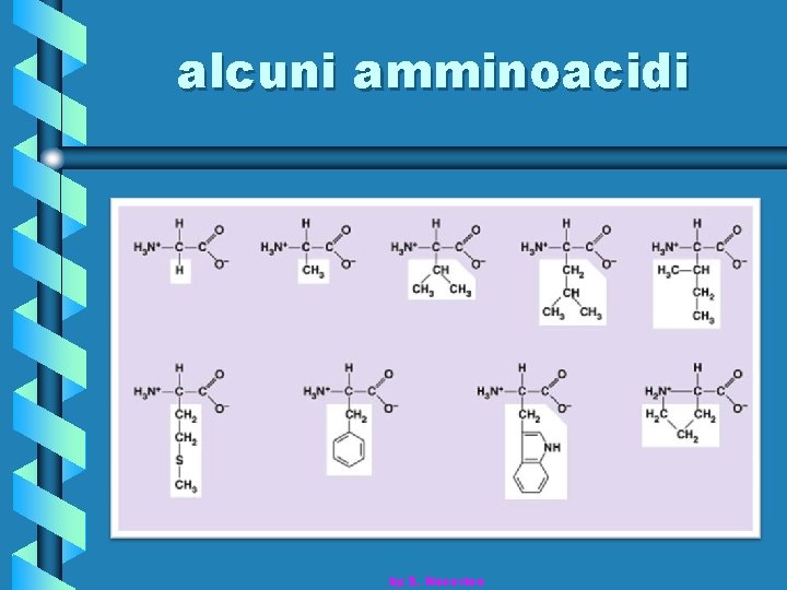 alcuni amminoacidi by S. Nocerino 