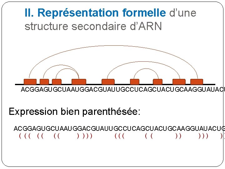 II. Représentation formelle d’une structure secondaire d’ARN ACGGAGUGCUAAUGGACGUAUUGCCUCAGCUACUGCAAGGUAUACU Expression bien parenthésée: ACGGAGUGCUAAUGGACGUAUUGCCUCAGCUACUGCAAGGUAUACUG ( (