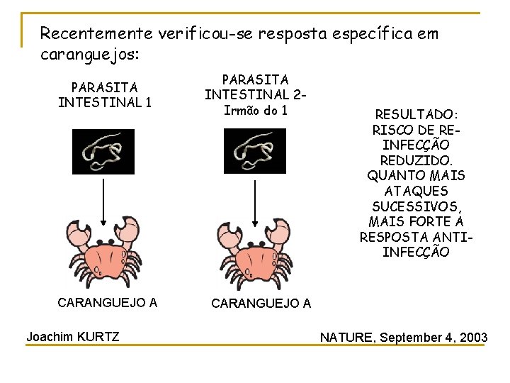 Recentemente verificou-se resposta específica em caranguejos: PARASITA INTESTINAL 1 CARANGUEJO A Joachim KURTZ PARASITA