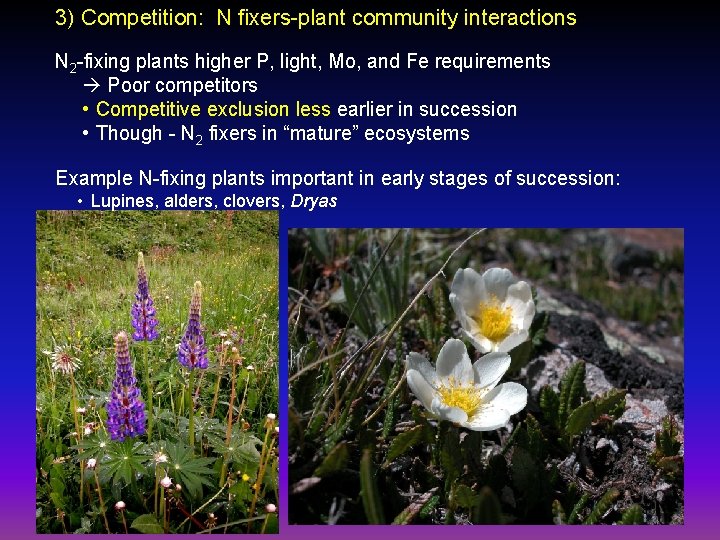3) Competition: N fixers-plant community interactions N 2 -fixing plants higher P, light, Mo,