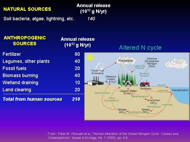 Annual release (1012 g N/yr) NATURAL SOURCES Soil bacteria, algae, lightning, etc. ANTHROPOGENIC SOURCES