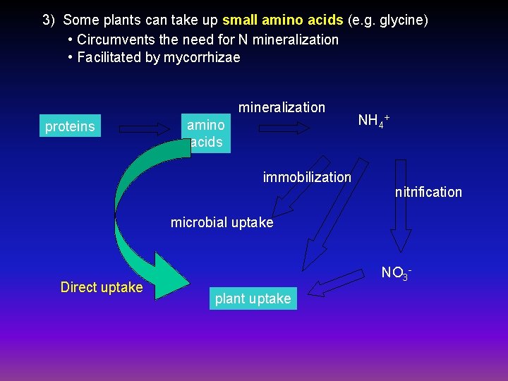 3) Some plants can take up small amino acids (e. g. glycine) • Circumvents