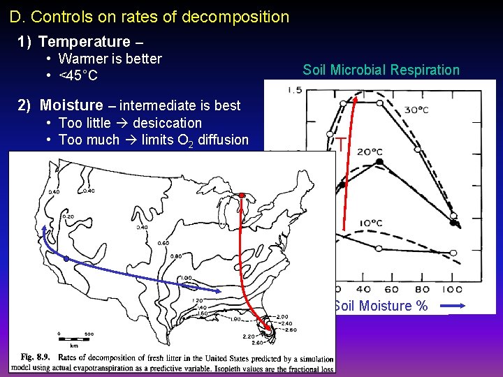 D. Controls on rates of decomposition 1) Temperature – • Warmer is better •