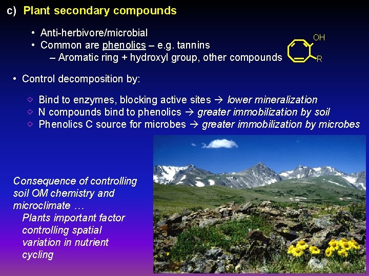 c) Plant secondary compounds • Anti-herbivore/microbial • Common are phenolics – e. g. tannins