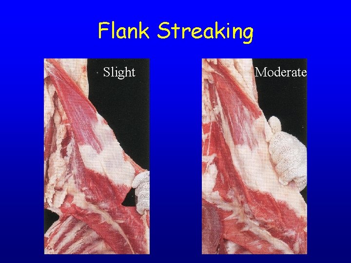 Flank Streaking Slight Moderate 