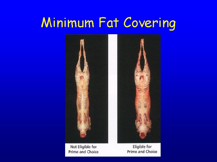 Minimum Fat Covering 