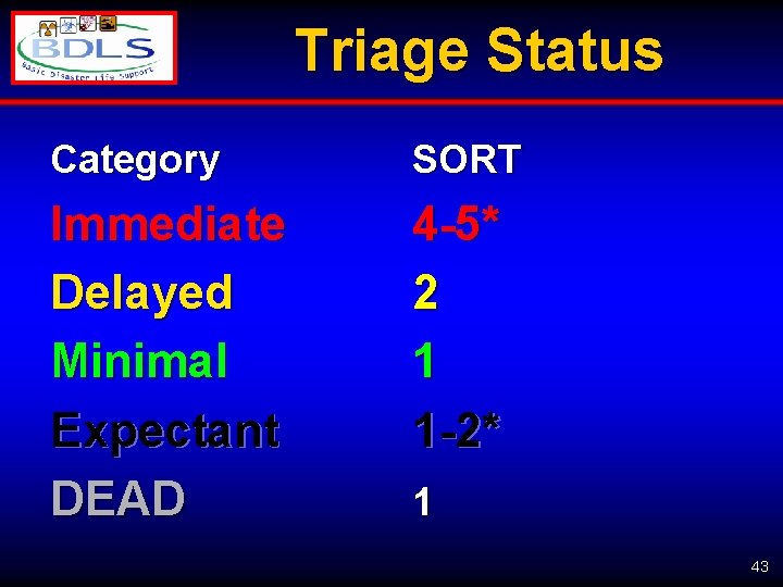 Triage Status Category SORT Immediate Delayed Minimal Expectant DEAD 4 -5* 2 1 1