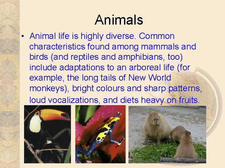 Animals • Animal life is highly diverse. Common characteristics found among mammals and birds