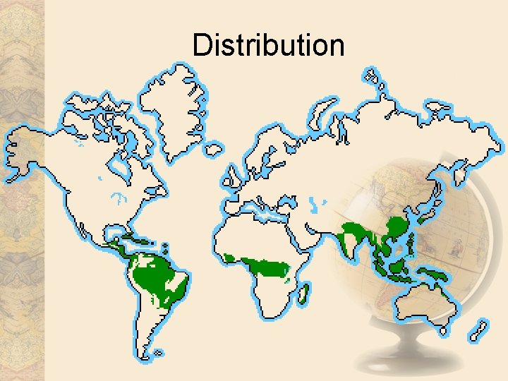 Distribution 