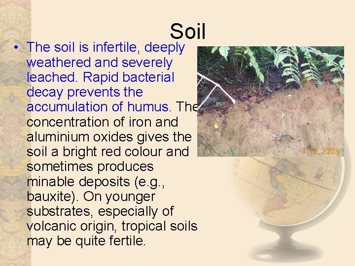 Soil • The soil is infertile, deeply weathered and severely leached. Rapid bacterial decay