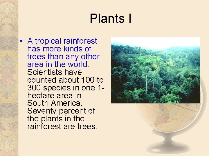 Plants I • A tropical rainforest has more kinds of trees than any other