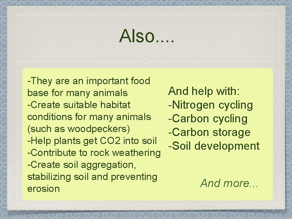 Also. . -They are an important food base for many animals -Create suitable habitat