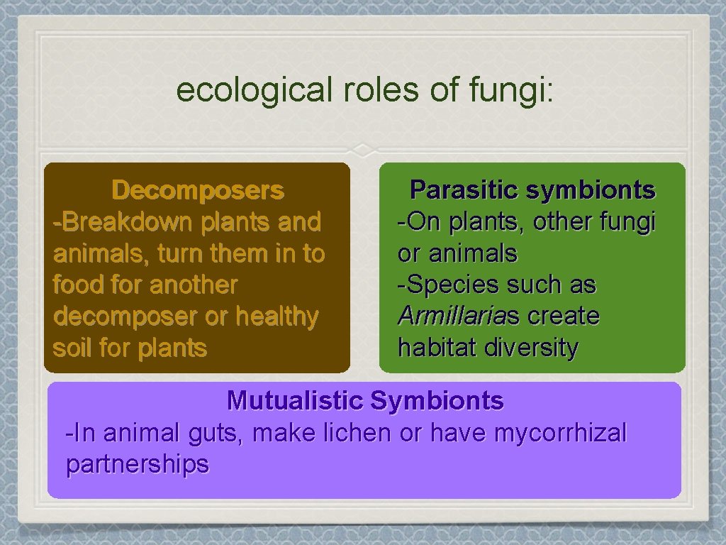 ecological roles of fungi: Decomposers -Breakdown plants and animals, turn them in to food