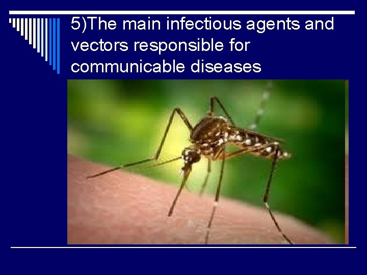 5)The main infectious agents and vectors responsible for communicable diseases 