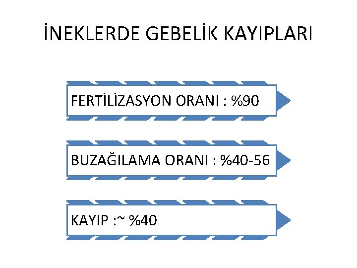 İNEKLERDE GEBELİK KAYIPLARI FERTİLİZASYON ORANI : %90 BUZAĞILAMA ORANI : %40 -56 KAYIP :