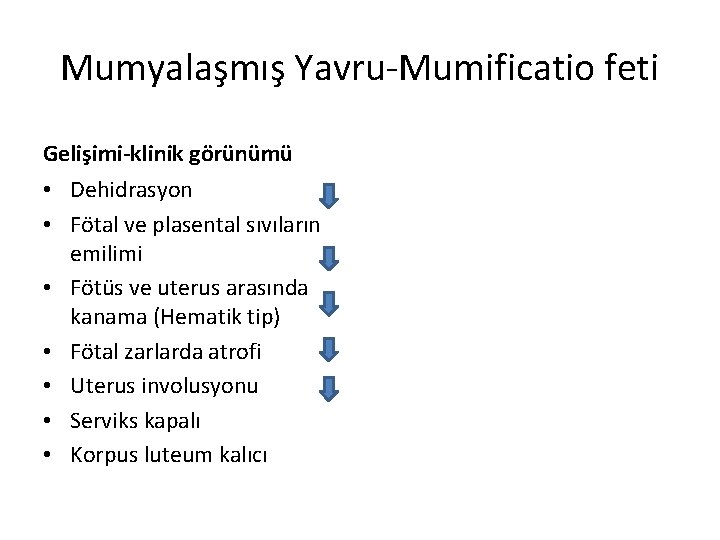 Mumyalaşmış Yavru-Mumificatio feti Gelişimi-klinik görünümü • Dehidrasyon • Fötal ve plasental sıvıların emilimi •