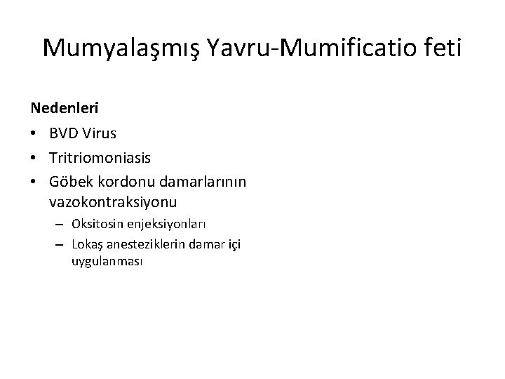 Mumyalaşmış Yavru-Mumificatio feti Nedenleri • BVD Virus • Tritriomoniasis • Göbek kordonu damarlarının vazokontraksiyonu