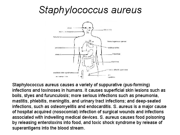 Staphylococcus aureus causes a variety of suppurative (pus-forming) infections and toxinoses in humans. It