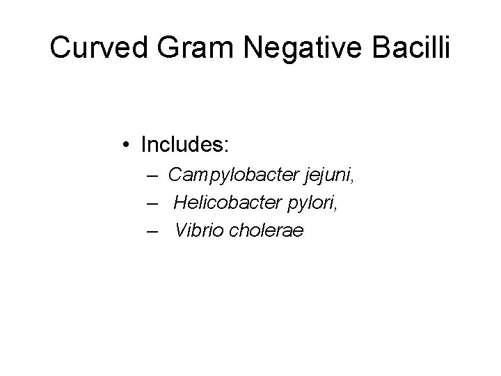 Curved Gram Negative Bacilli • Includes: – Campylobacter jejuni, – Helicobacter pylori, – Vibrio