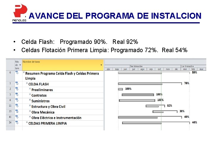 AVANCE DEL PROGRAMA DE INSTALCION • Celda Flash: Programado 90%. Real 92% • Celdas