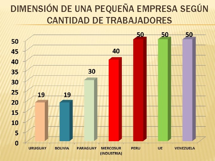 DIMENSIÓN DE UNA PEQUEÑA EMPRESA SEGÚN CANTIDAD DE TRABAJADORES 