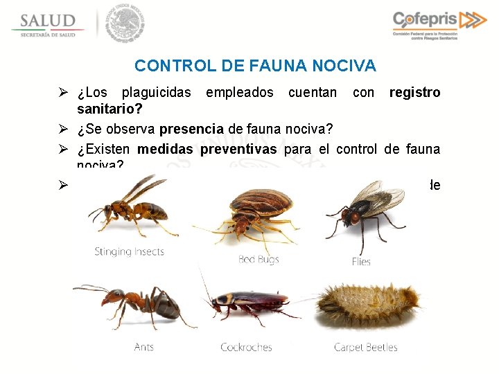 CONTROL DE FAUNA NOCIVA Ø ¿Los plaguicidas empleados cuentan con registro sanitario? Ø ¿Se