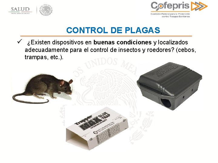 CONTROL DE PLAGAS ü ¿Existen dispositivos en buenas condiciones y localizados adecuadamente para el