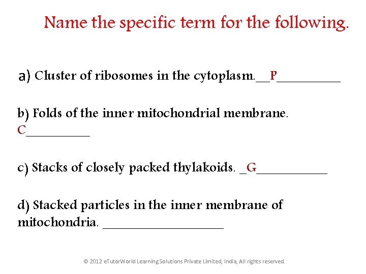 Name the specific term for the following. a) Cluster of ribosomes in the cytoplasm.